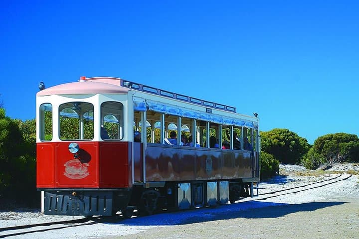 Rottnest Island Grand Tour with Lunch and Historical Train Ride