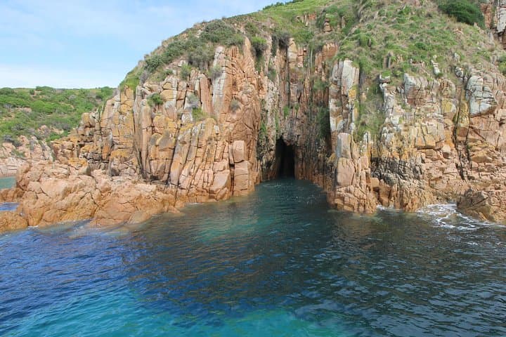 Cape Woolamai Sightseeing Cruise from San Remo