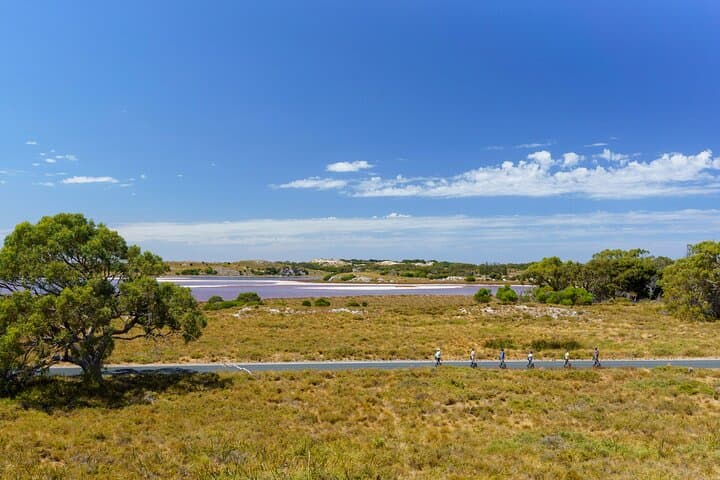 Rottnest Island Coastal Explorer Segway Tour image 2