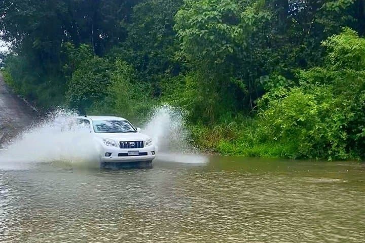 Private 4WD Rainforest Adventure to Booloumba Falls image 2